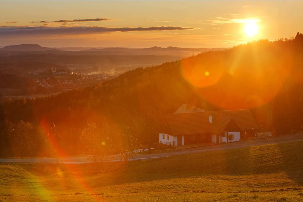 Hotel Schilcherlandhof Стайнц Екстериор снимка